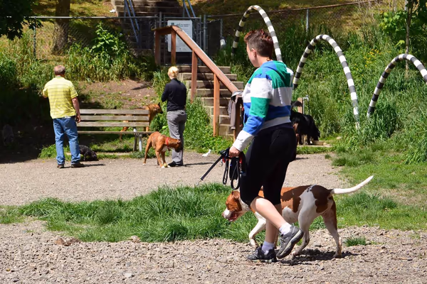 Blue Dog Pond at Sam Smith Park photo 1